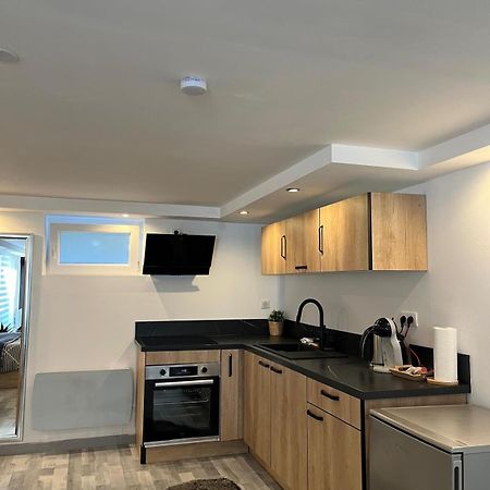 Tres Bel Appartement Type Loft De 40 M2 Dans Maison Avec Parking Privatif Lingolsheim Buitenkant foto