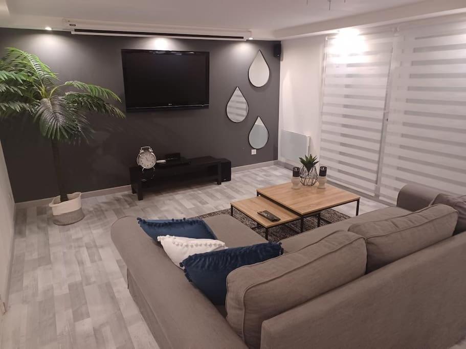 Tres Bel Appartement Type Loft De 40 M2 Dans Maison Avec Parking Privatif Lingolsheim Buitenkant foto