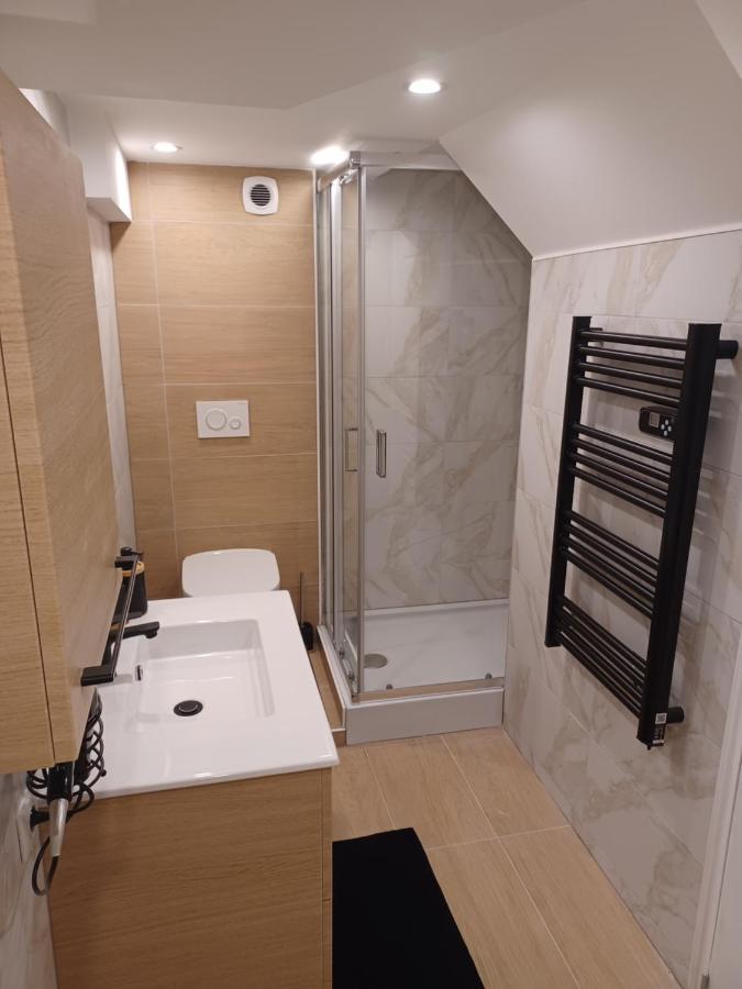 Tres Bel Appartement Type Loft De 40 M2 Dans Maison Avec Parking Privatif Lingolsheim Buitenkant foto