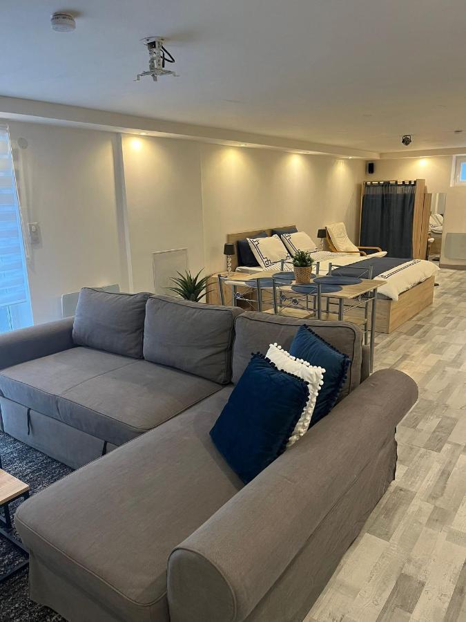 Tres Bel Appartement Type Loft De 40 M2 Dans Maison Avec Parking Privatif Lingolsheim Buitenkant foto