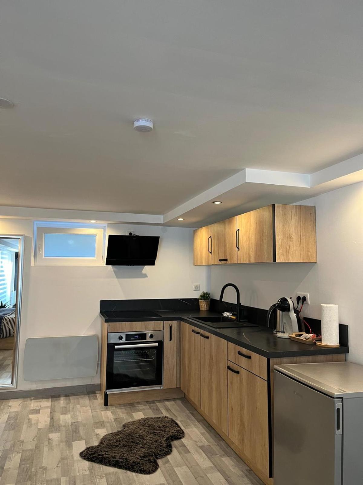 Tres Bel Appartement Type Loft De 40 M2 Dans Maison Avec Parking Privatif Lingolsheim Buitenkant foto